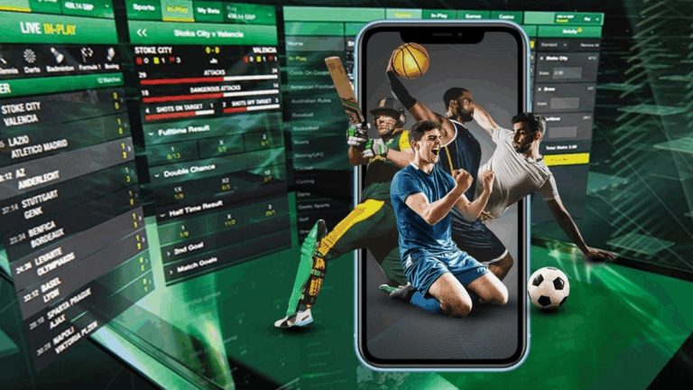 What Motivates Indian Bettors? Insights from Recent Surveys