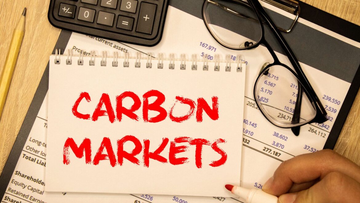 Carbon Markets Under Pressure: How Verification Restores Trust